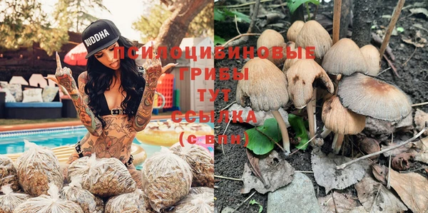 a pvp Пролетарск