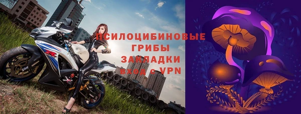 СК Абинск