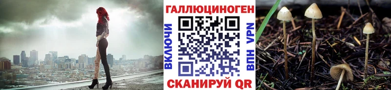 где купить наркоту  Скопин  Псилоцибиновые грибы Psilocybe 